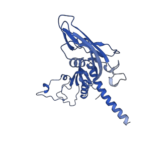 41655_8tvy_C_v1-0
Cryo-EM structure of CPD lesion containing RNA Polymerase II elongation complex with Rad26 and Elf1 (closed state)