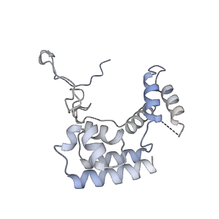 41655_8tvy_D_v1-0
Cryo-EM structure of CPD lesion containing RNA Polymerase II elongation complex with Rad26 and Elf1 (closed state)