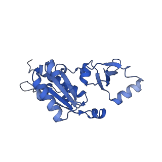 41655_8tvy_E_v1-0
Cryo-EM structure of CPD lesion containing RNA Polymerase II elongation complex with Rad26 and Elf1 (closed state)