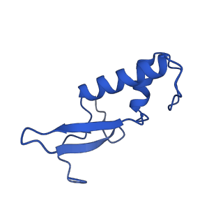 41655_8tvy_F_v1-0
Cryo-EM structure of CPD lesion containing RNA Polymerase II elongation complex with Rad26 and Elf1 (closed state)