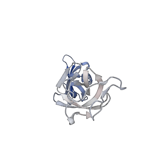 41655_8tvy_G_v1-0
Cryo-EM structure of CPD lesion containing RNA Polymerase II elongation complex with Rad26 and Elf1 (closed state)