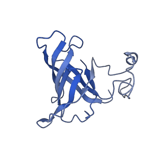 41655_8tvy_H_v1-0
Cryo-EM structure of CPD lesion containing RNA Polymerase II elongation complex with Rad26 and Elf1 (closed state)