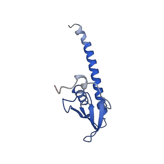 41655_8tvy_K_v1-0
Cryo-EM structure of CPD lesion containing RNA Polymerase II elongation complex with Rad26 and Elf1 (closed state)