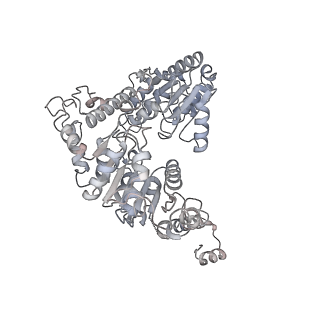 41655_8tvy_M_v1-0
Cryo-EM structure of CPD lesion containing RNA Polymerase II elongation complex with Rad26 and Elf1 (closed state)