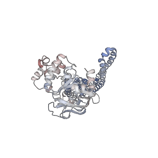 8469_5tv4_A_v1-3
3D cryo-EM reconstruction of nucleotide-free MsbA in lipid nanodisc
