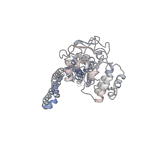 8469_5tv4_B_v1-3
3D cryo-EM reconstruction of nucleotide-free MsbA in lipid nanodisc