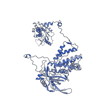 10603_6tw1_A_v1-1
Bat Influenza A polymerase termination complex with pyrophosphate using 44-mer vRNA template with mutated oligo(U) sequence