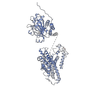 26146_7tw0_A_v1-2
Cryo-EM structure of human band 3-protein 4.2 complex in vertical conformation
