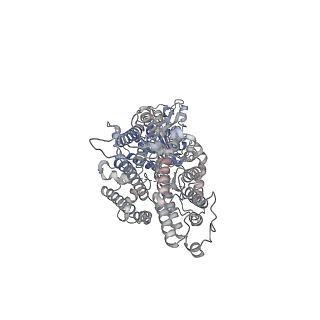 26147_7tw1_A_v1-2
Cryo-EM structure of human band 3-protein 4.2 complex (B2P2vertical)