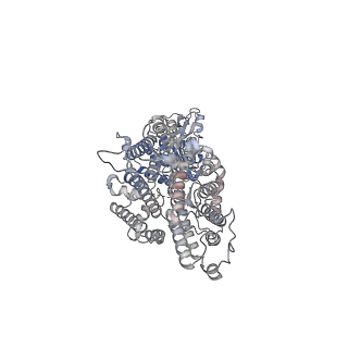 26147_7tw1_A_v1-3
Cryo-EM structure of human band 3-protein 4.2 complex (B2P2vertical)