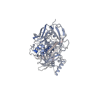 26147_7tw1_E_v1-2
Cryo-EM structure of human band 3-protein 4.2 complex (B2P2vertical)