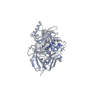 26147_7tw1_F_v1-2
Cryo-EM structure of human band 3-protein 4.2 complex (B2P2vertical)