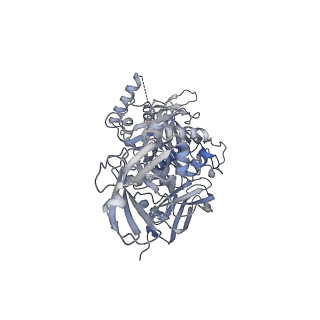 26147_7tw1_F_v1-3
Cryo-EM structure of human band 3-protein 4.2 complex (B2P2vertical)