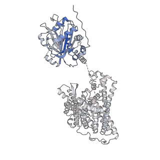 26149_7tw3_A_v1-2
Cryo-EM structure of human ankyrin complex (B2P1A1) from red blood cell