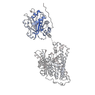 26149_7tw3_A_v1-3
Cryo-EM structure of human ankyrin complex (B2P1A1) from red blood cell