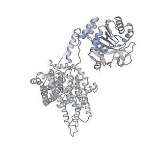 26149_7tw3_B_v1-2
Cryo-EM structure of human ankyrin complex (B2P1A1) from red blood cell
