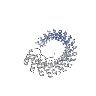 26149_7tw3_G_v1-2
Cryo-EM structure of human ankyrin complex (B2P1A1) from red blood cell