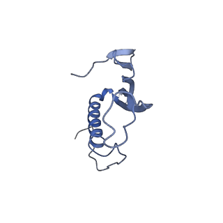 41657_8tw2_AA_v1-0
Acinetobacter phage AP205 T=4 VLP