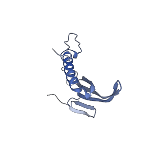 41657_8tw2_AB_v1-0
Acinetobacter phage AP205 T=4 VLP