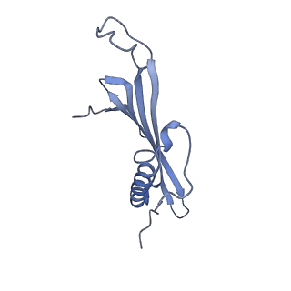 41657_8tw2_AC_v1-0
Acinetobacter phage AP205 T=4 VLP