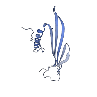 41657_8tw2_AD_v1-0
Acinetobacter phage AP205 T=4 VLP