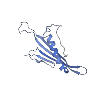 41657_8tw2_AE_v1-0
Acinetobacter phage AP205 T=4 VLP