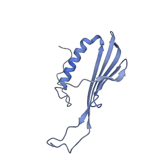 41657_8tw2_AG_v1-0
Acinetobacter phage AP205 T=4 VLP