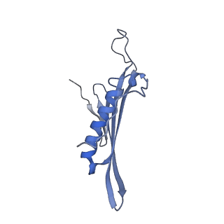 41657_8tw2_AH_v1-0
Acinetobacter phage AP205 T=4 VLP