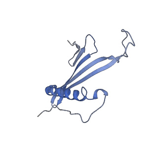 41657_8tw2_AJ_v1-0
Acinetobacter phage AP205 T=4 VLP