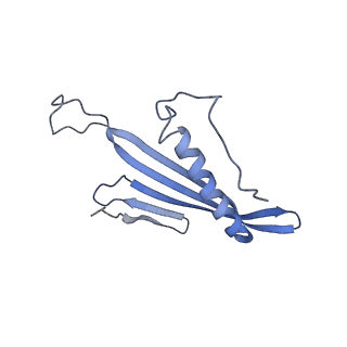 41657_8tw2_AL_v1-0
Acinetobacter phage AP205 T=4 VLP