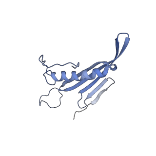 41657_8tw2_AN_v1-0
Acinetobacter phage AP205 T=4 VLP