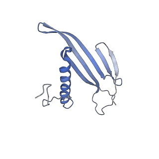 41657_8tw2_AP_v1-0
Acinetobacter phage AP205 T=4 VLP