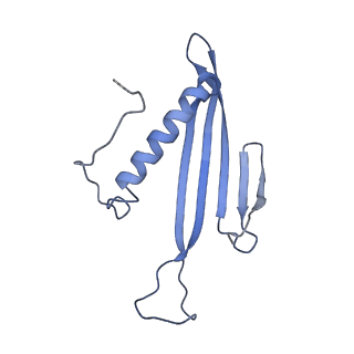 41657_8tw2_AQ_v1-0
Acinetobacter phage AP205 T=4 VLP