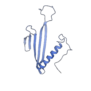 41657_8tw2_AR_v1-0
Acinetobacter phage AP205 T=4 VLP