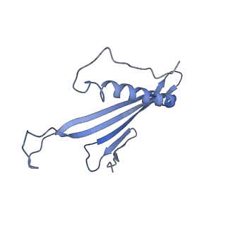 41657_8tw2_AS_v1-0
Acinetobacter phage AP205 T=4 VLP