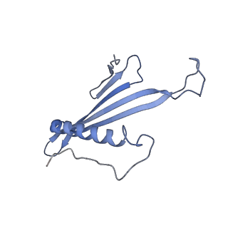 41657_8tw2_AU_v1-0
Acinetobacter phage AP205 T=4 VLP