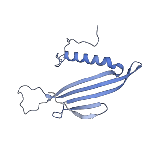 41657_8tw2_AV_v1-0
Acinetobacter phage AP205 T=4 VLP