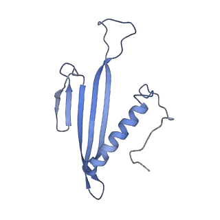 41657_8tw2_AW_v1-0
Acinetobacter phage AP205 T=4 VLP