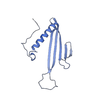 41657_8tw2_AX_v1-0
Acinetobacter phage AP205 T=4 VLP