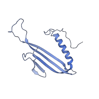 41657_8tw2_AY_v1-0
Acinetobacter phage AP205 T=4 VLP