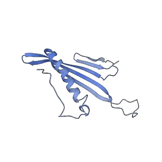 41657_8tw2_AZ_v1-0
Acinetobacter phage AP205 T=4 VLP