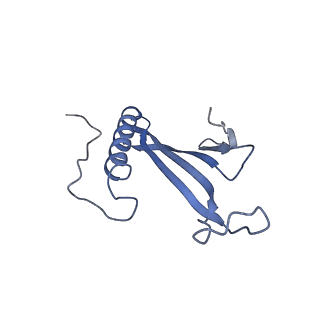 41657_8tw2_BA_v1-0
Acinetobacter phage AP205 T=4 VLP