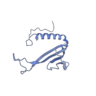 41657_8tw2_BC_v1-0
Acinetobacter phage AP205 T=4 VLP