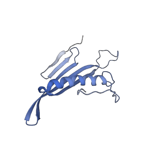 41657_8tw2_BD_v1-0
Acinetobacter phage AP205 T=4 VLP