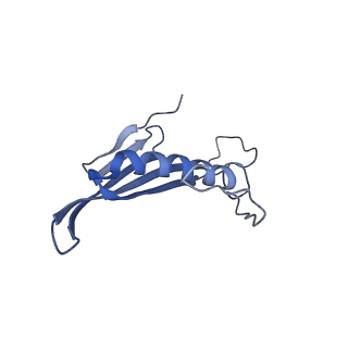 41657_8tw2_BE_v1-0
Acinetobacter phage AP205 T=4 VLP