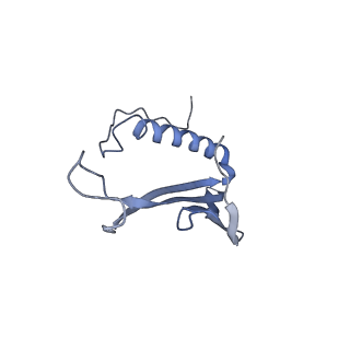 41657_8tw2_BF_v1-0
Acinetobacter phage AP205 T=4 VLP