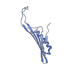 41657_8tw2_BI_v1-0
Acinetobacter phage AP205 T=4 VLP