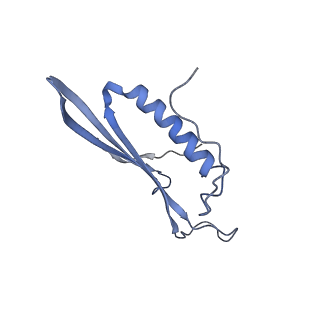 41657_8tw2_BJ_v1-0
Acinetobacter phage AP205 T=4 VLP