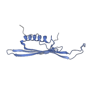 41657_8tw2_BK_v1-0
Acinetobacter phage AP205 T=4 VLP