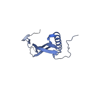 41657_8tw2_BN_v1-0
Acinetobacter phage AP205 T=4 VLP